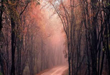 意媒：米兰希望阵容意大利化，里奇或成为帕拉迪奇时代首签.