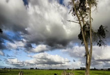 虎扑体育官网：广东首节惜败吉林！贝兹利+徐杰狂铁，无爆点，琼斯主导局势！.