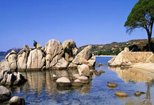 虎扑体育官网：CBA最奇葩情况出现，四大强队争第三，辽宁成搅局者，广东最惨.